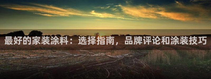 青岛大生和记餐饮管理有限公司：最好的家装涂料：选择指南，品牌评论和涂装技巧