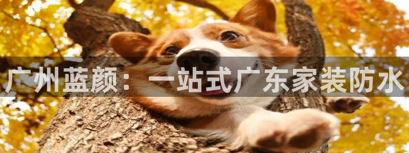 和记国际开户网站