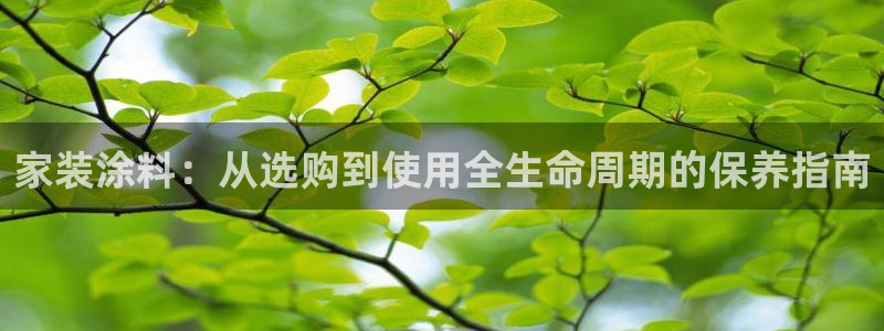 和记h88最新客户端下载：家装涂料：从选购到使用全生命周期的保养指南