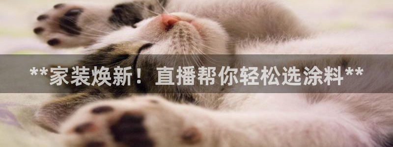 和记平台：**家装焕新！直播帮你轻松选涂料**