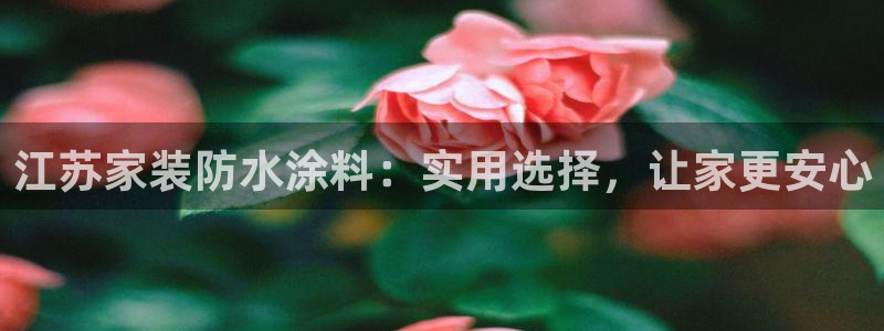 和记网页版登陆：江苏家装防水涂料：实用选择，让家更安心