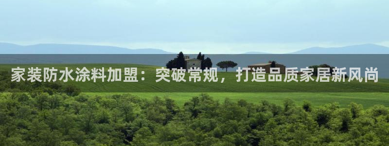 和记 官网：家装防水涂料加盟：突破常规，打造品质家居新风尚