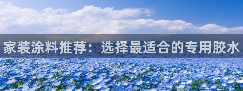 和记ag旗舰：家装涂料推荐：选择最适合的专用胶水