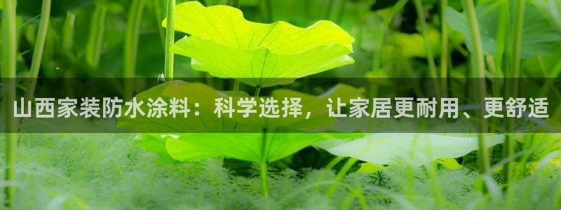 官方和记国际平台登录：山西家装防水涂料：科学选择，让家居更耐