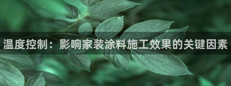 和记ag网页版：温度控制：影响家装涂料施工效果的关键因素
