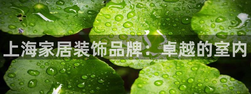 和记ag旗舰厅app：上海家居装饰品牌：卓越的室内