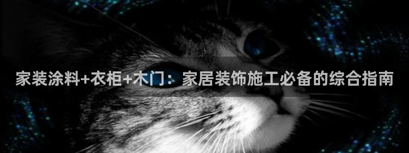 上海和记餐饮有限公司：家装涂料+衣柜+木门：家居装饰施工必备的综合指南
